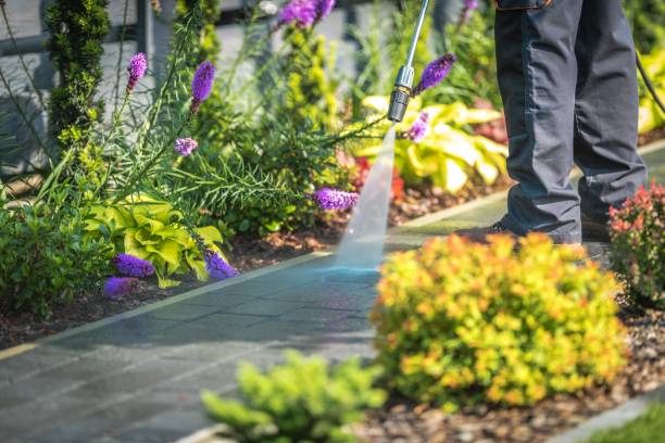 Best Sidewalk and Walkway Cleaning  in Panther Valley, NJ